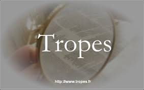 présentation du logiciel Tropes