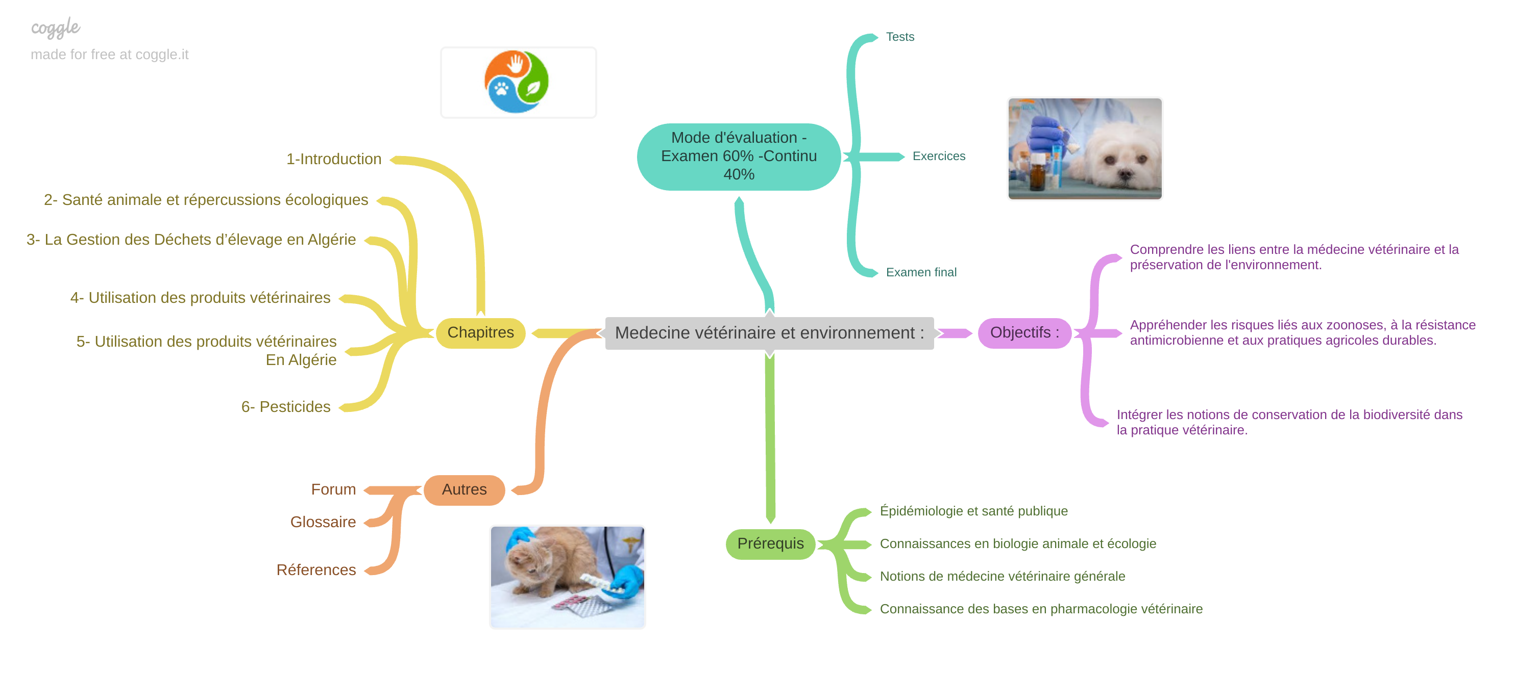 Mind map