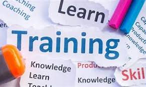 هندسة التكوين